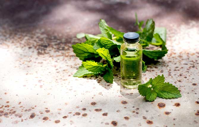Aromatik Yağlar ve Kullanım Alanları